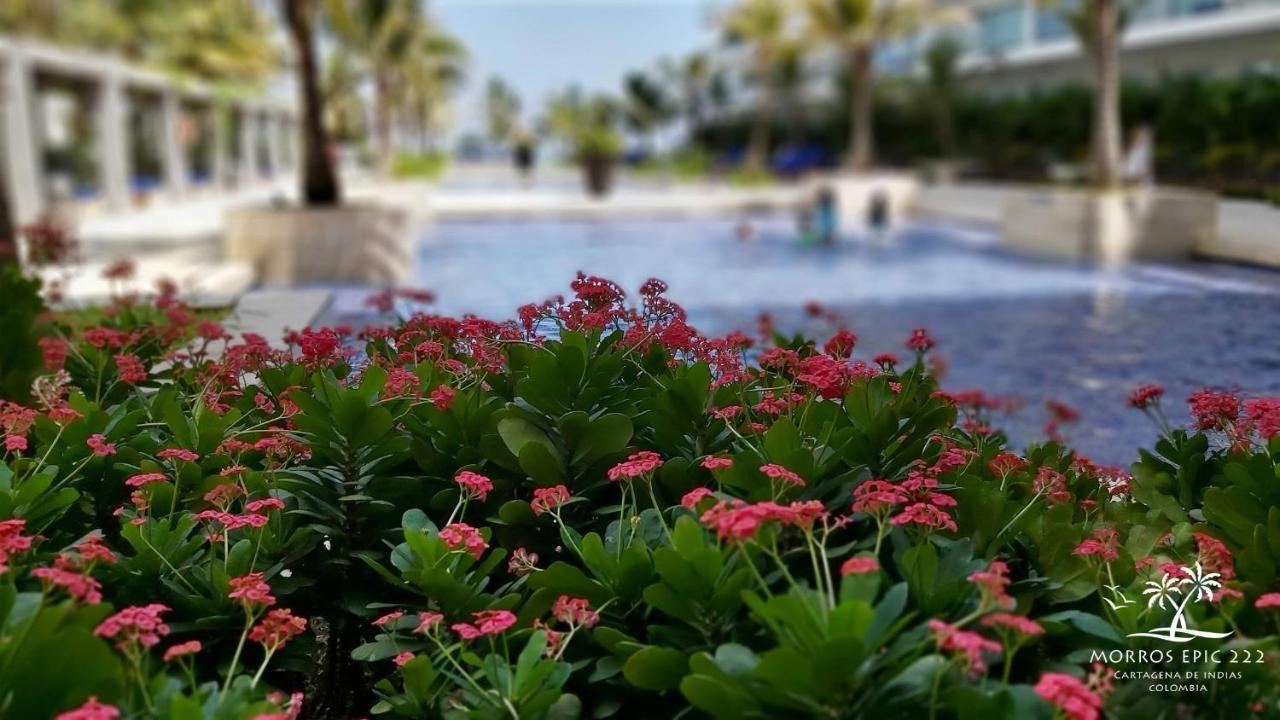 Morros Epic 222 Apartment Cartagena Luaran gambar